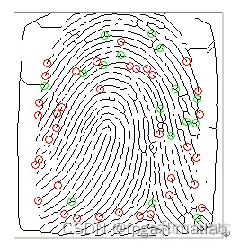 基于MATLAB的指纹识别算法仿真实现_特征点_07